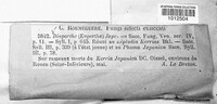 Diaporthe japonica image